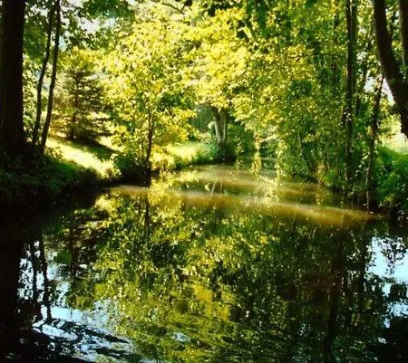 Lägenhet Inas Spreewaldstube
