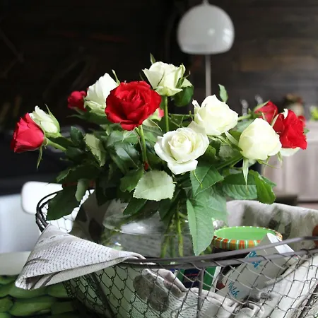 Inas Spreewaldstube Apartamento *