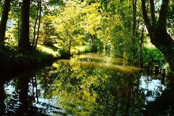 Apartamento Inas Spreewaldstube