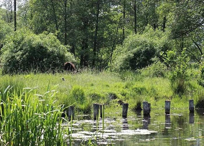 Inas Spreewaldstube Vetschau